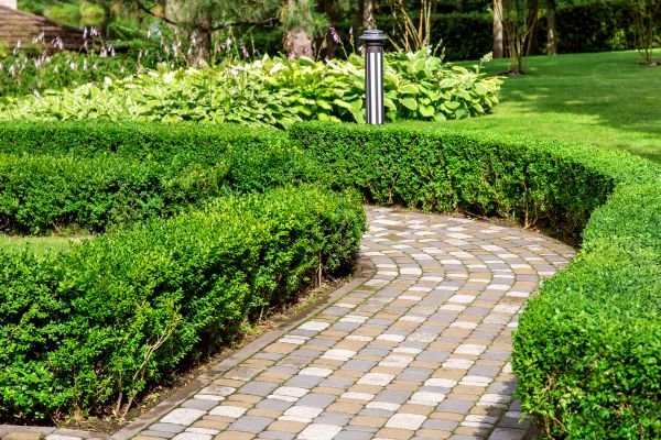 Paved Landscaping in Phoenix