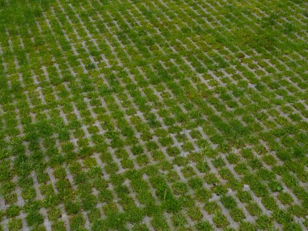 Permeable Pavement Service in Phoenix