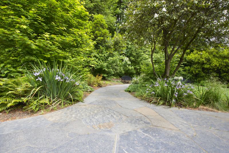 Natural Stone Paver Pathway